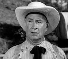 Television's New Frontier: The 1960s: July 2015