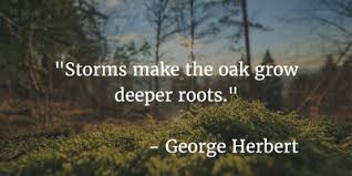 Explore our collection of motivational and famous quotes by authors you know and love. From Acorn To Forest Quotes About Oak Trees And Love Enkiquotes