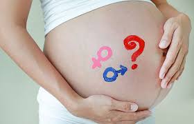 Ab ssw 15 kann man das geschlecht des babys im ultraschall erkennen. Junge Oder Madchen 5 Anzeichen Fur Einen Jungen