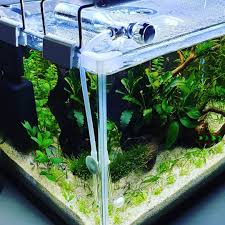 Cheap Co2 For My Low Budget Nano 1 Fluval Valve 2 Broken Ada Diffuser 3 Soda Cartridges From Amazon 4 Some Old Hose Co2kit Aquascapin Planted Aquarium