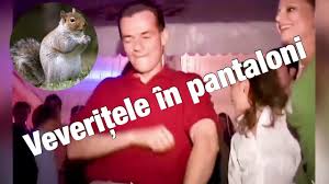 Să știți că visez frumos și țin minte visele! le gouvernement minoritaire roumain de ludovic orban a obtenu la confiance du parlement … Ludovic Orban Danseaza Pe Veveritele In Pantaloni Youtube