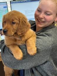 Vaccine Titers: Four Unfortunate Truths