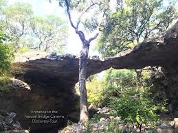 Adventure tours and activities for kids and adults are also available. Visit Natural Bridge Caverns In San Antonio Texas For A Cave Tour Canopy Course Gold Digging Maze And Zip Natural Bridge Caverns Natural Bridge Cave Tours