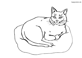 We did not find results for: Susse Katzen Bilder Zum Ausmalen