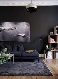 Living Rooms With Black Walls