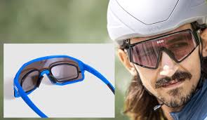 Pipeline Trail Millcreek Canyon Dog Days Taxonomic Revision Of The  Tarantula Genus Aphonopelma Pocock, 1901