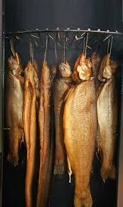 Angepasst Sein Lange Aale Und Hornhechte Lassen Sich Logischerweise In Einem Hohen Ofen Besser Aufhange In 2020 Fisch Rauchern Rauchern Karpfen Rauchern