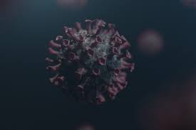 In tschechien ist die indische mutation des coronavirus aufgetreten, sagte gesundheitsminister petr arenberger in einem gespräch für die tageszeitung „právo, das am samstag veröffentlicht wurde. Ckogxrkppbdqam