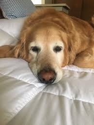 Lots of love and best wishes from the nutter called Imelda who had a great  fortnight in the Harbor. Specially to Ryan, Simone, Lucy and Jonathan  (sorry Jonathan I know I've spelt