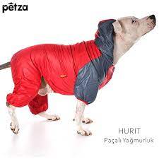 petza www petza com tr panosundaki pin