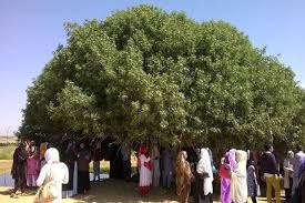 نَبِي مُحَمَّد), baginda juga adalah pemimpin. Masya Allah Inilah Sahabat Nabi Yang Masih Hidup Hingga Sekarang