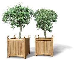 It measures 18 inches wide and 20 inches tall; Pair Of Extra Large Versailles Planters Lindsey Teak