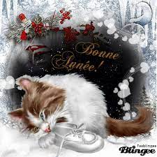 Bonne Année : Chat avec une petite chaussure
