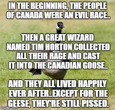 Pin By Jordan Eastep On I Am Canadian Canada Funny Canada Memes Canadian Humor