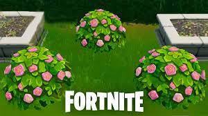 Wash and sterilize a bowl or jar. How To Destroy Shrubs For Fortnite Season 7 Week 1 Quest Shrub Locations Shrub Locations