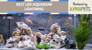 Check spelling or type a new query. 10 Best Led Aquarium Lights For Plants Kobi Pets