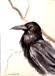 Black And White Raven Images Raven Portrait Original Watercolor Paper 12 X 9 In Black White Raven Art With Images Original Watercolors Watercolor Bird Raven Art