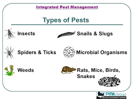 Integrated pest management (ipm) is a system of protecting crops that meets the requirements of sustainable development by allowing farmers to this chapter discusses different approaches to maintain pest insects at tolerable levels or in other words integrated pest management (ipm). Integrated Pest Management Ipm Integrated Pest Management A Pest Is A Plant Insect Or Animal Which Competes With Humans Domestic Animals And Or Ppt Download