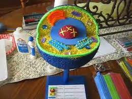 Maybe you would like to learn more about one of these? Animal Cell School Project Youtube