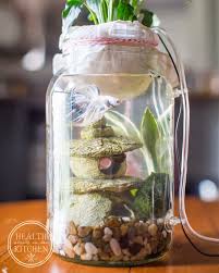 Betta fish can have tank mates with the right size aquarium and care. Diy Self Cleaning Canning Jar Aquarium Health Starts In The Kitchen