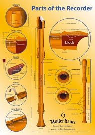 Recorder Terms Recorder Music Flute Lessons Recorder Musical Instrument