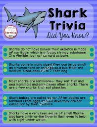 Pour yourself a nice cup of tea or coffee to wake up those brain cells, and let's get started! Sharks Non Fiction Text Features And Task Cards Shark Week Fiction Text Nonfiction Texts