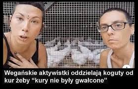 Zamienię żonę 36 lat na dwie po 18 lub Passat w dieslu,