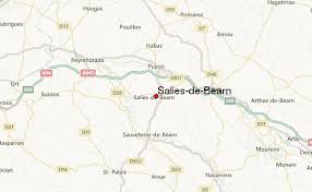 L'application de la station météo de salies. Previsions Meteo Pour Salies De Bearn