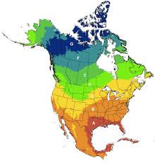 Lyme Disease Spread By Migratory Birds