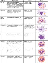 23 1 Innate Immune Response Concepts Of Biology 1st