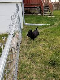 Check spelling or type a new query. Oriental Trading Company Omaha Fulfillment Call Center 4206 S 108th St Omaha Ne 68137 Usa