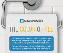 The Cleveland Clinic Explains 11 Distinctive Pee Colours For