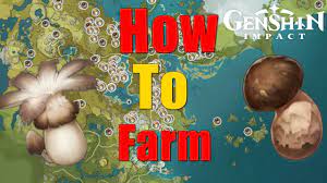 The Best Locations To Farm Mushroom And Matsutake In Genshin Impact -  YouTube