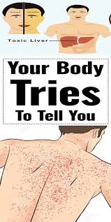 Pin By Julie On Fashion Love Fashion Told You So Body Liver