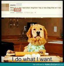 Pin On Things That Make Me Lol