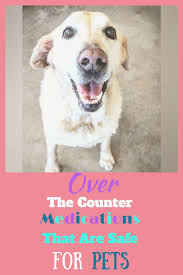 Do You Have Any Idea What Kind Of Over The Counter Medications Are Ok For Your Pet Dog Or Your Pet Cat Here Is A Pet Care Printable Fo Pets Your