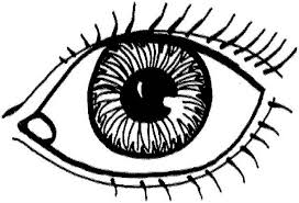 We did not find results for: Human Anatomy Eye Coloring Pages Bulk Color