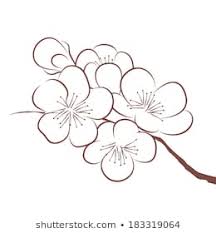 48.000 ảnh về cành hoa mai đẹp, độc đáo dùng trang trí cho ngày tết mỗi dịp  xuân về - Mua bán hình ảnh shutterstock giá rẻ chỉ từ 3.000 đ trong 2 phút