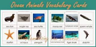 Memorizing The Moments Ocean Life Vocabulary Cards Vocabulary Cards Ocean Themes Ocean Words