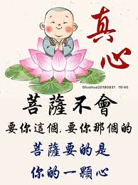 pin by 心灵慧语 on 妙心禪語 cute puppy pictures good morning picture morning pictures