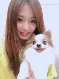 Conheça os pets do TWICE