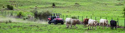 All that data—and then some—informs cr's. Best Side By Side Utv Brands What Is The Best Utility Vehicle