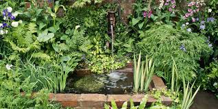 A pond in a pot is a great way to enjoy aquatic life even in the smallest garden or patio. Buying Garden Water Features 10 Tips For Outdoor Water Features