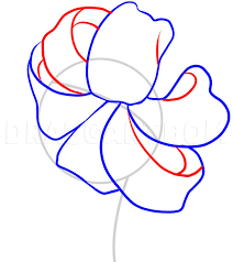 Check spelling or type a new query. How To Draw A Tiger Lily Step By Step Drawing Guide By Dawn Dragoart Com