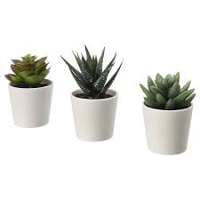 Fejka Pianta Artificiale Con Vaso Da Interno Esterno Succulenta Ikea It Artificial Potted Plants Fake Plants Decor Ikea Plants