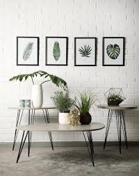 New Elevenpast Store Visi Australian Home Decor Plant Decor Indoor Australian Homes