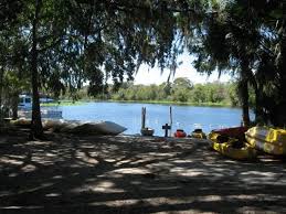 The park is a popular tourist destination; Blue Spring State Park Manatees Natural Beauty