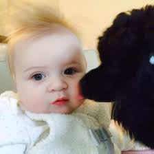 Grandfather's humorous story about making a frog sound for his granddaughter