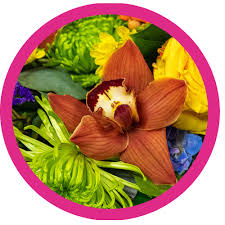 Flowers that grow in loveland co. Earle S Loveland Flowers And Gifts Loveland Colorado Flower Delivery