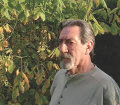 Autor NEGRETE GASPAR, Fernando